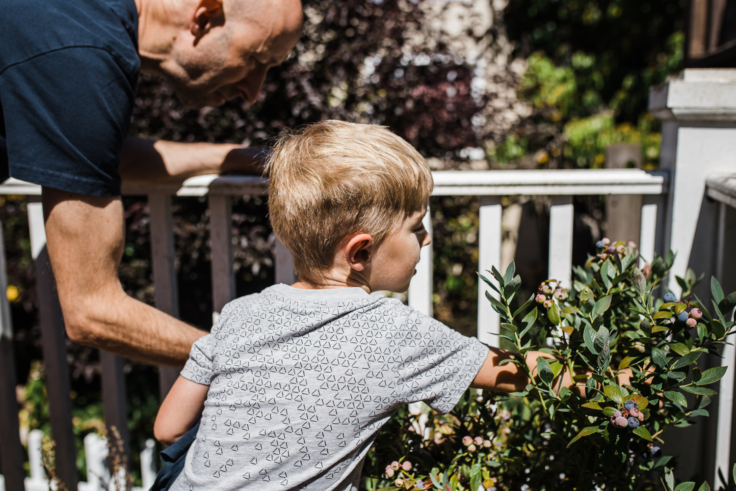 five year old boy gardening with his dad on the back porch 