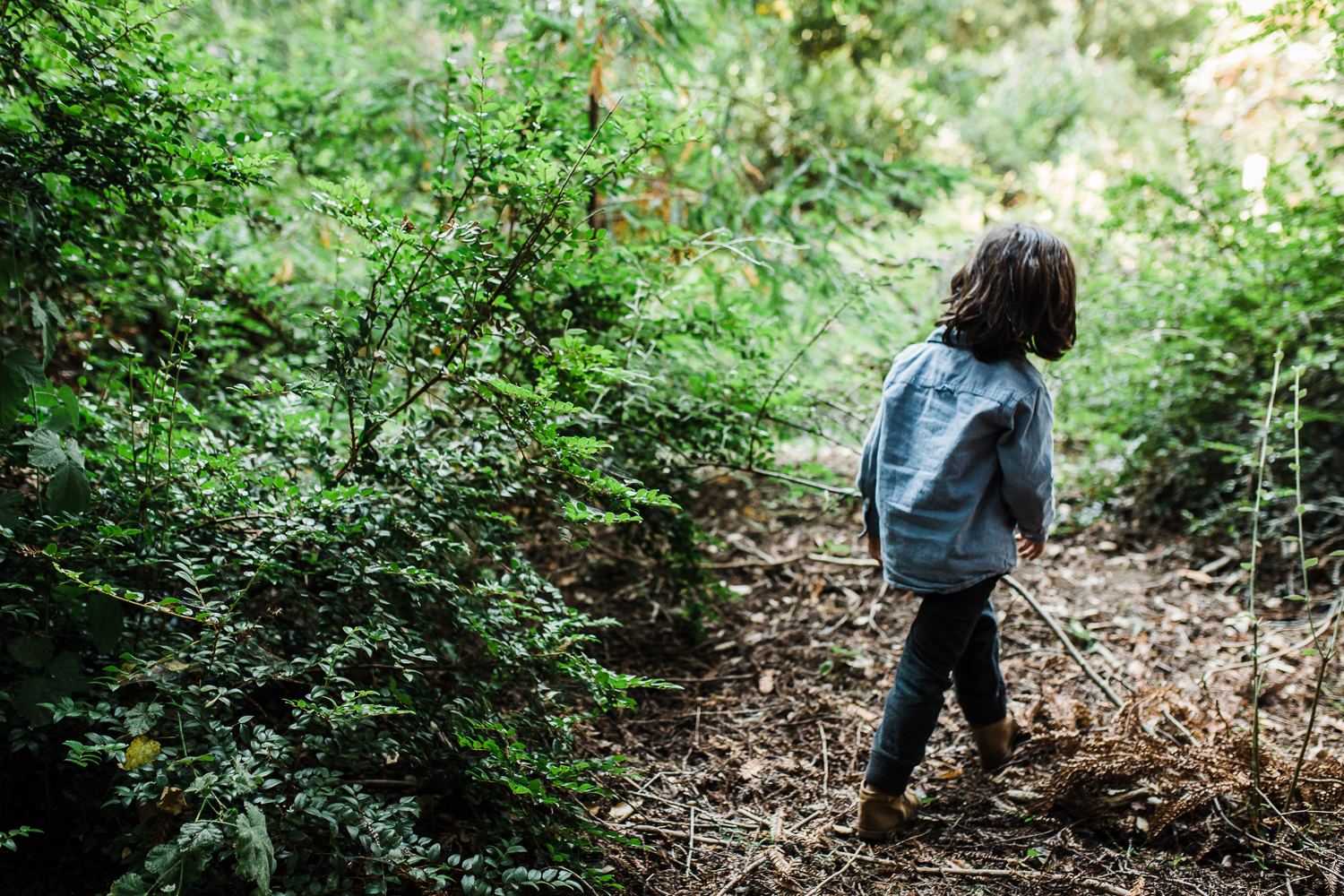 back of a four year old boy walking through the woods {Oakland Family Photographer}