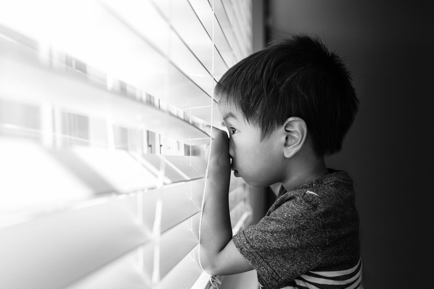 profile image of a little boy peaking out of a window through blinds 