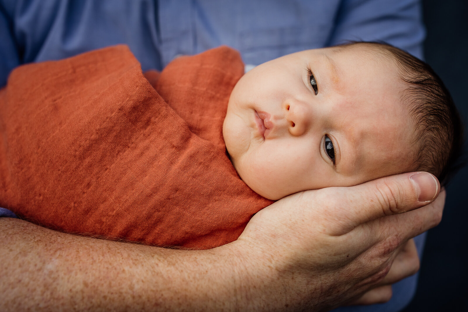 swaddled newborn in Dad's arms