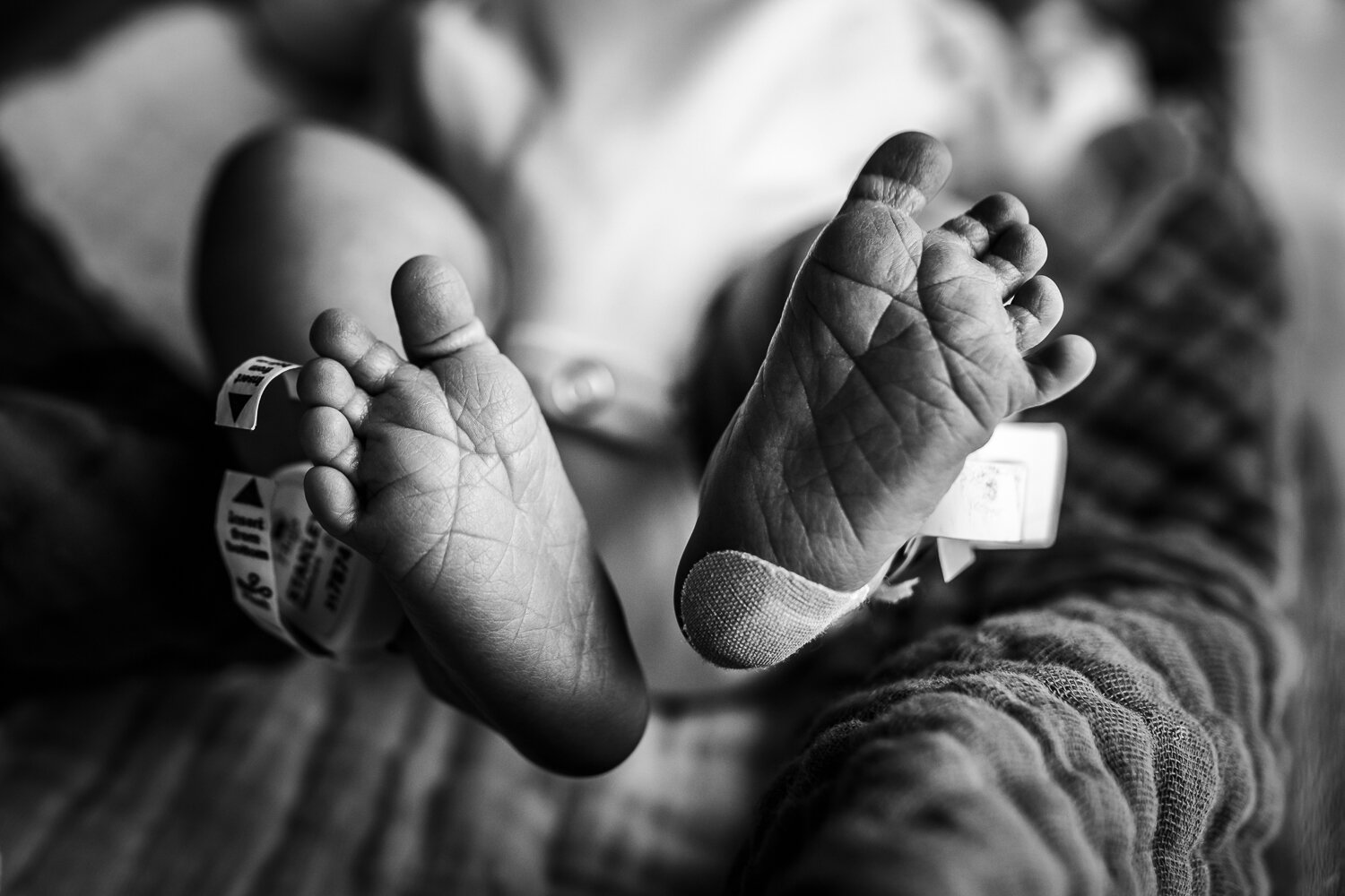 newborn feet with hospital bracelets