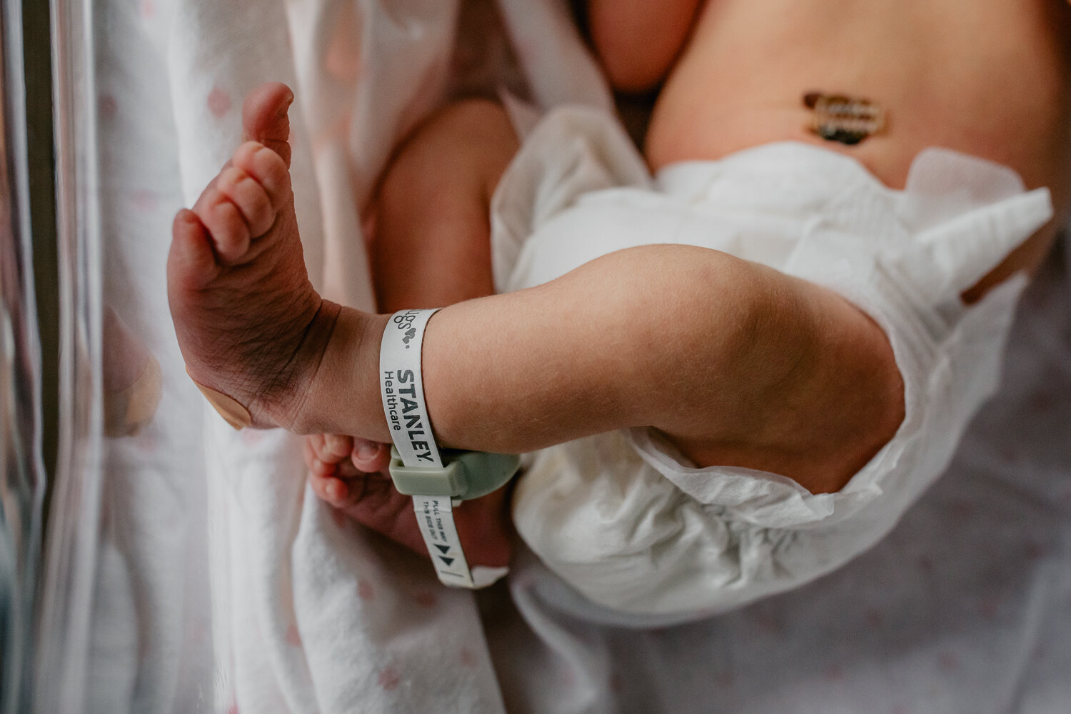 berkeley Baby Photographer