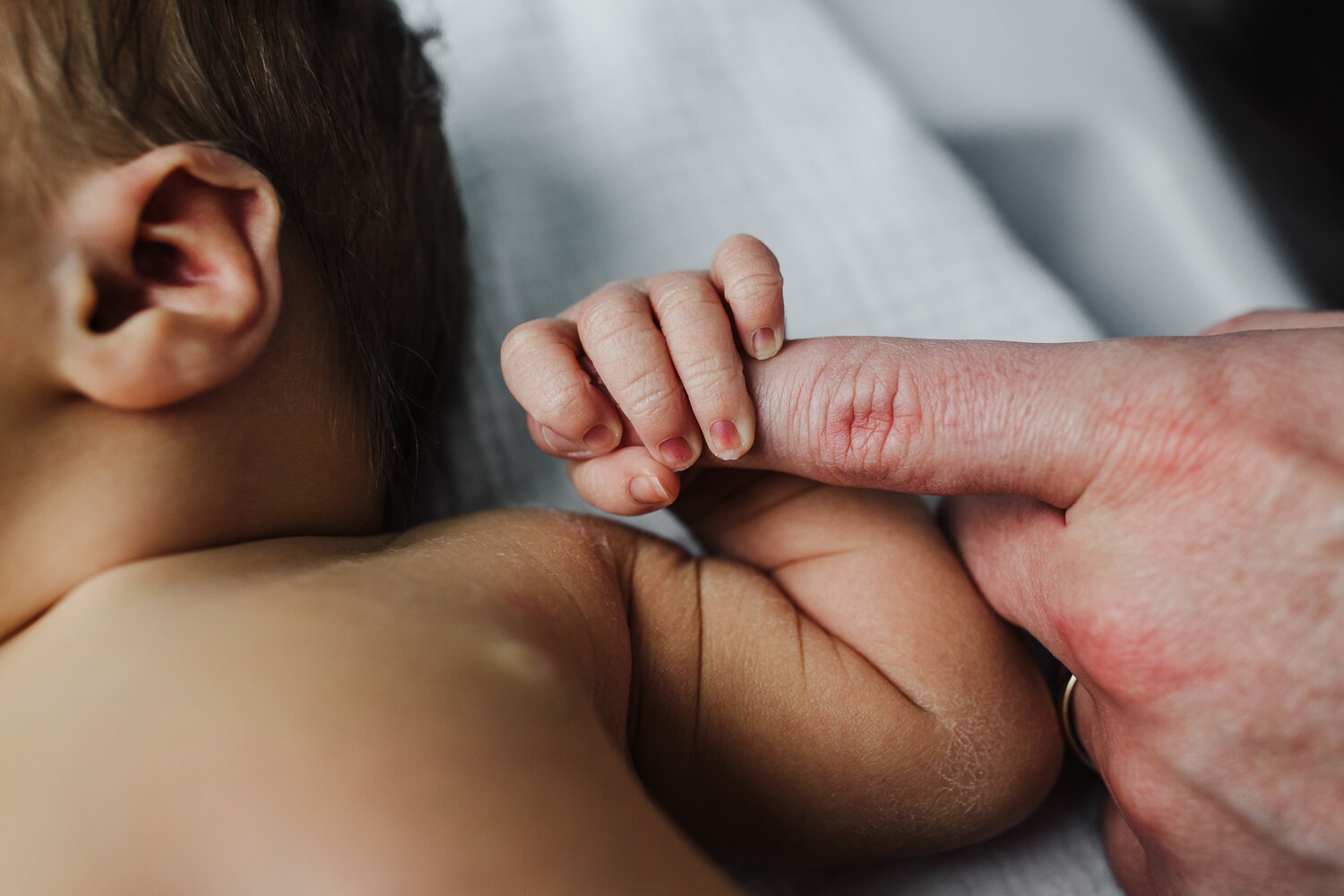 East Bay Newborn Photographer