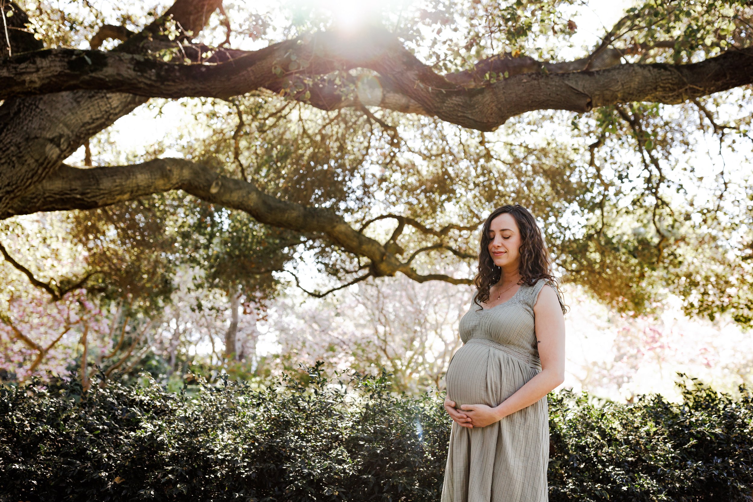 expecting mom standing under tree limbs with eyes closed and hands cradling baby bump