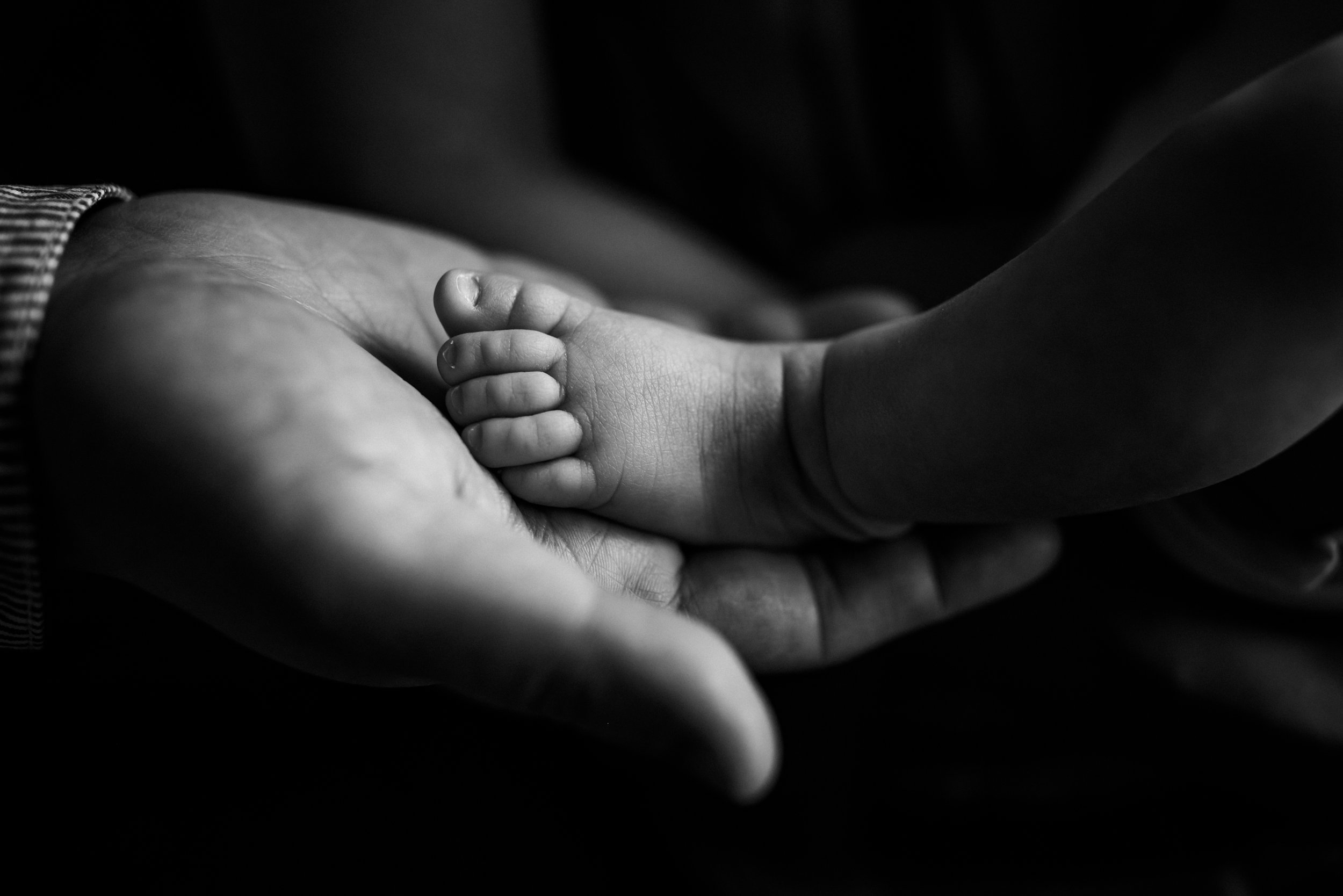 close up of a newborn foot held in father's hand