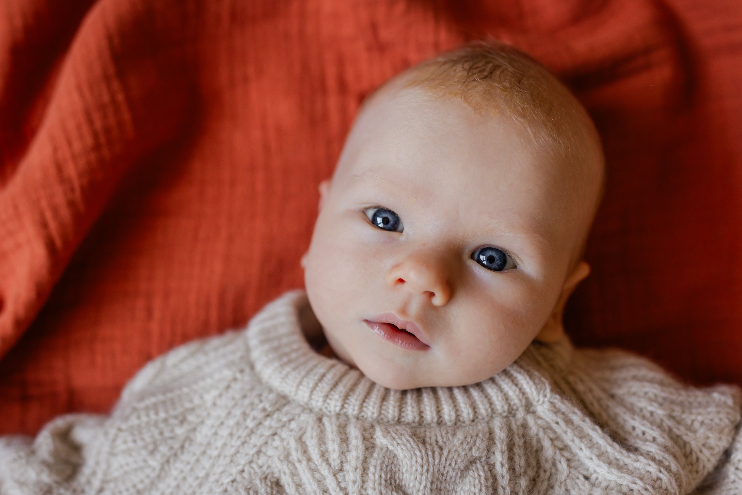 portrait-of-a-newborn.jpg