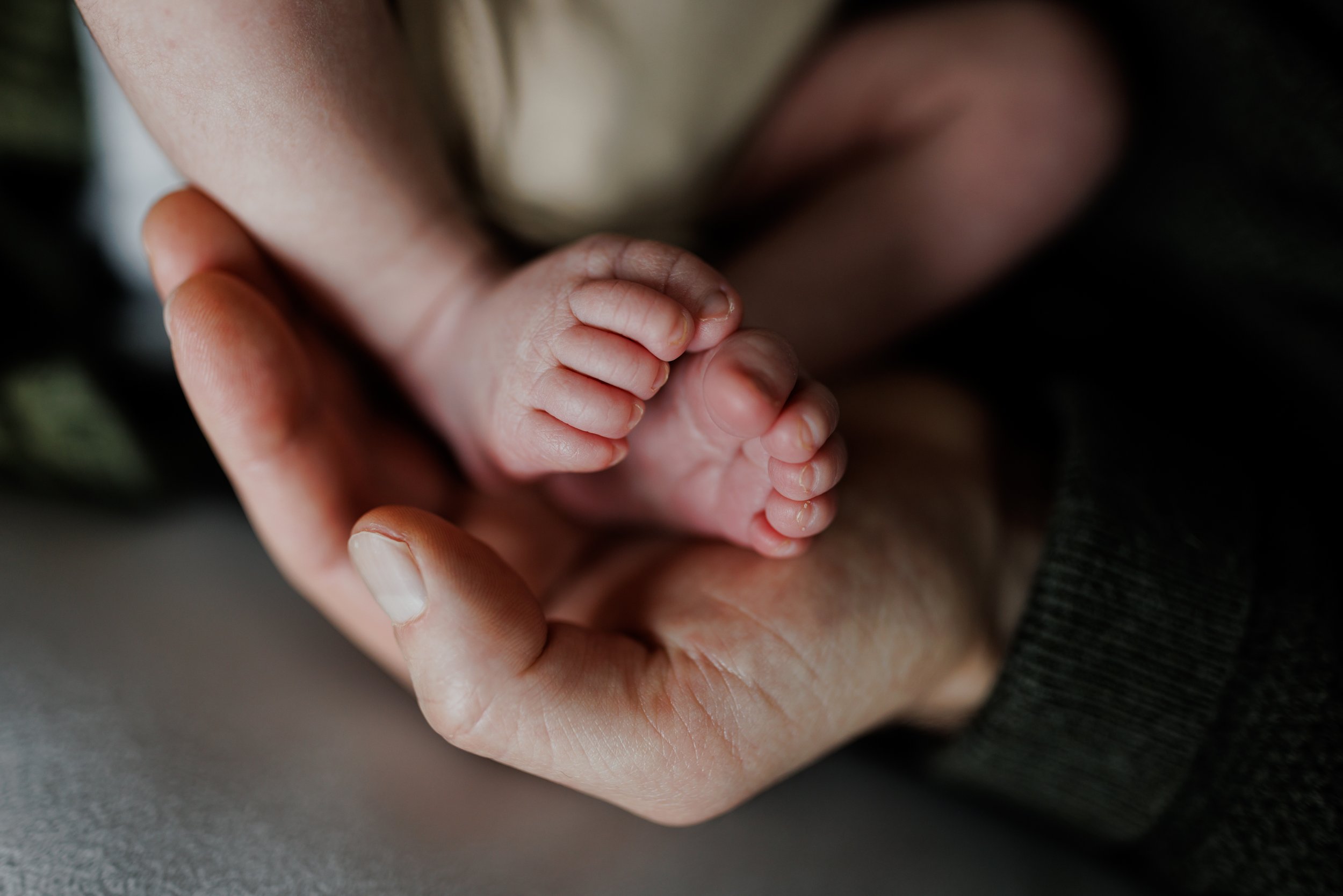 close up of newborn feet held by dad's hands