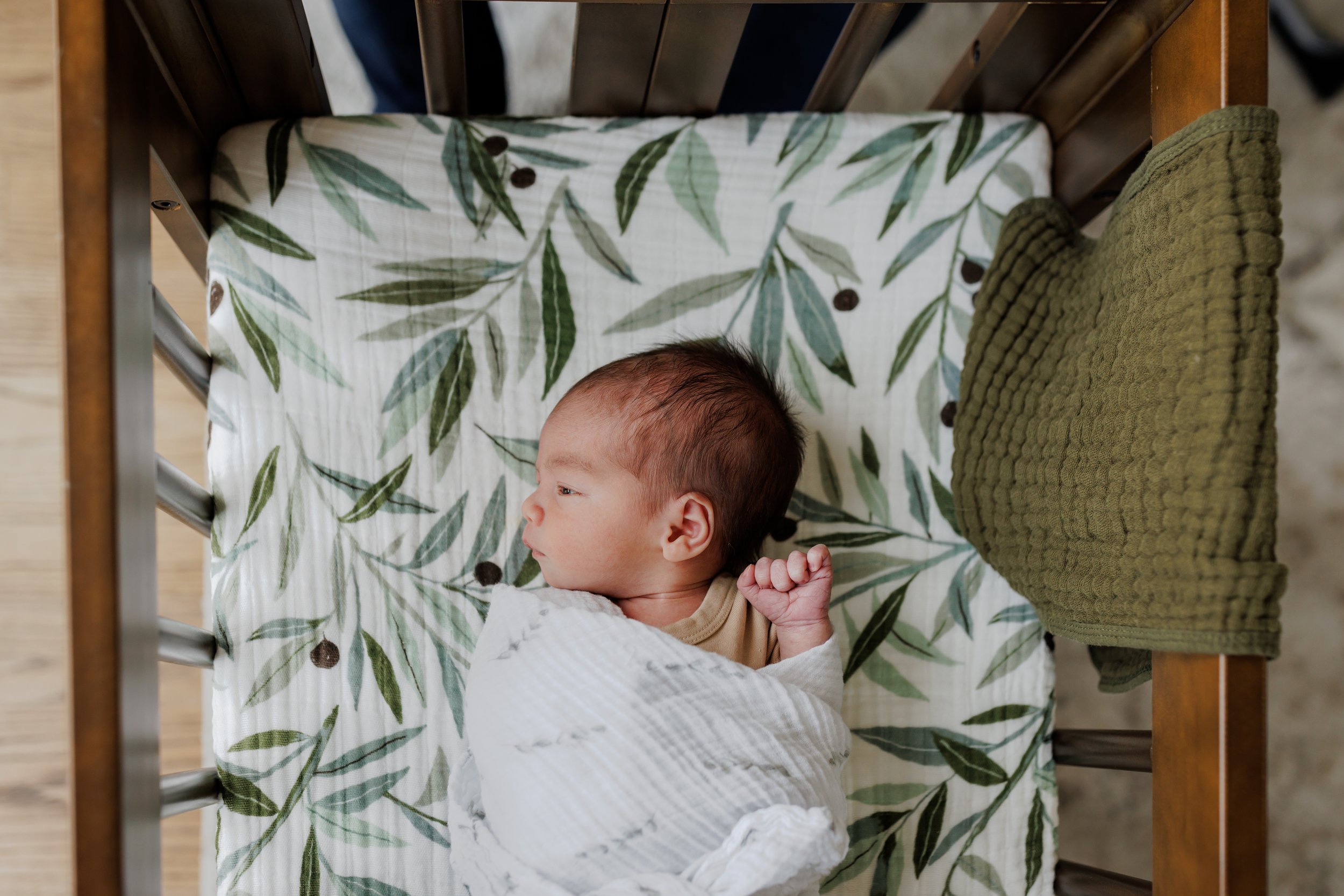 profile of a swaddled newborn  looking towards the window with hand popping out of swaddle