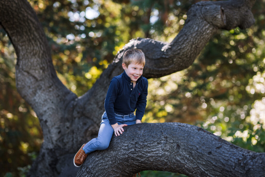 Child climbing on a large tree branch during a family session