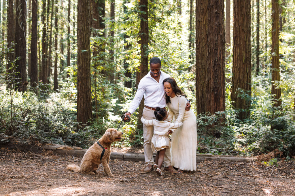 Family walking their dog along a trail in the redwoods