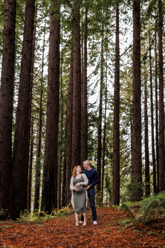 A couple stands together among towering redwood trees at the UC Botanical Garden in Berkeley during a maternity session