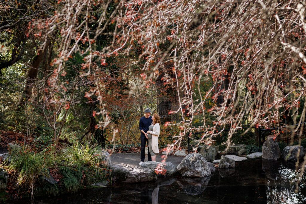 A couple stands near a pond at the UC Botanical Garden in Berkeley, framed by dramatic overhanging branches and fall foliage during a maternity session
